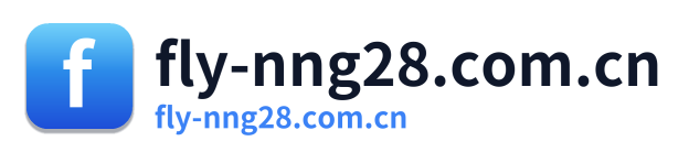 fly-nng28.com.cn